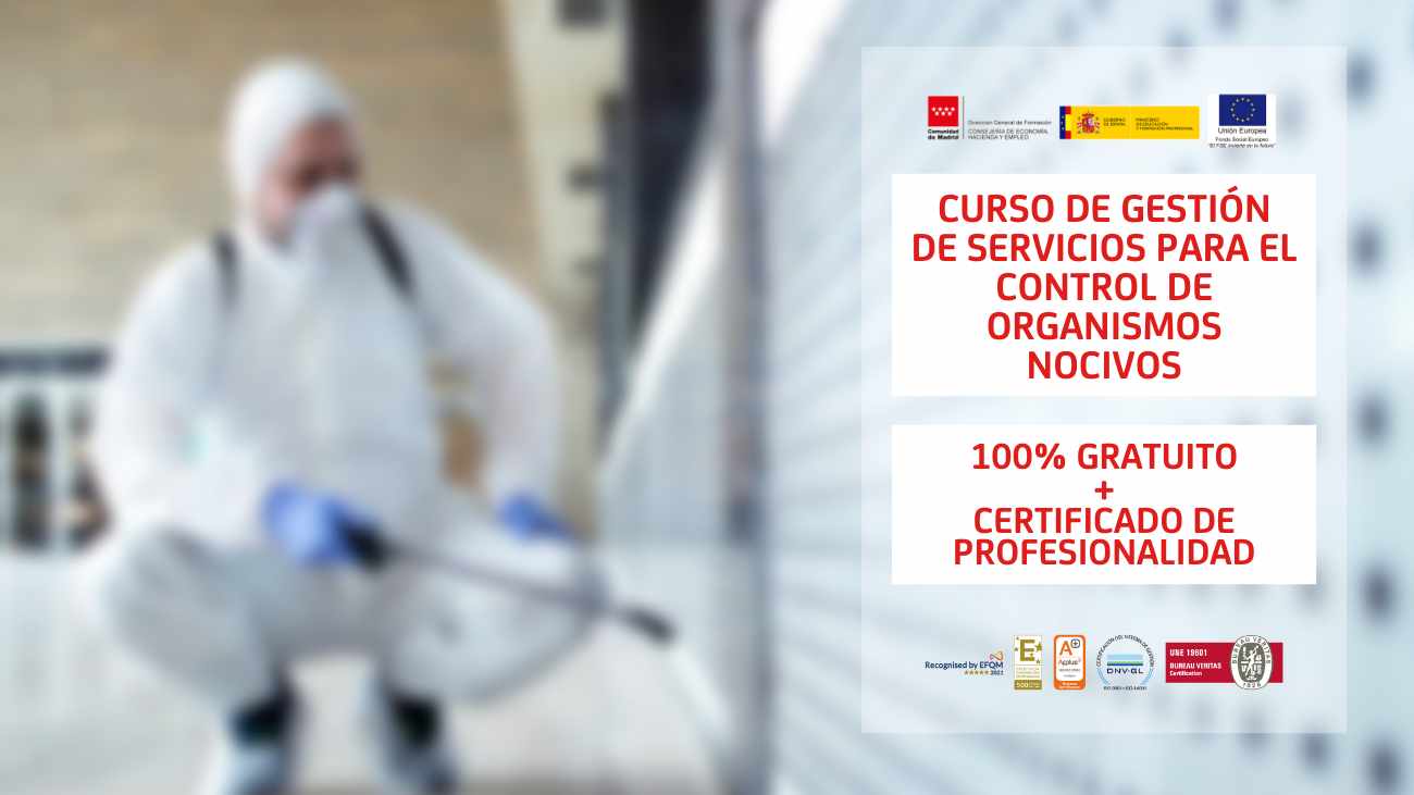 curso gratuito desempleados Madrid