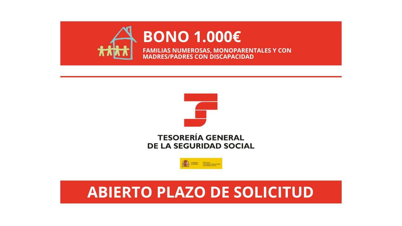 ayuda 1.000 euros seguridad social