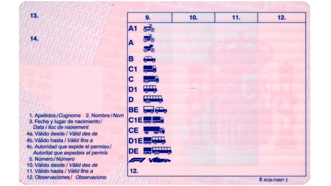 ayuda carnet de conducir