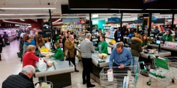 Compra anticaída del pelo Mercadona