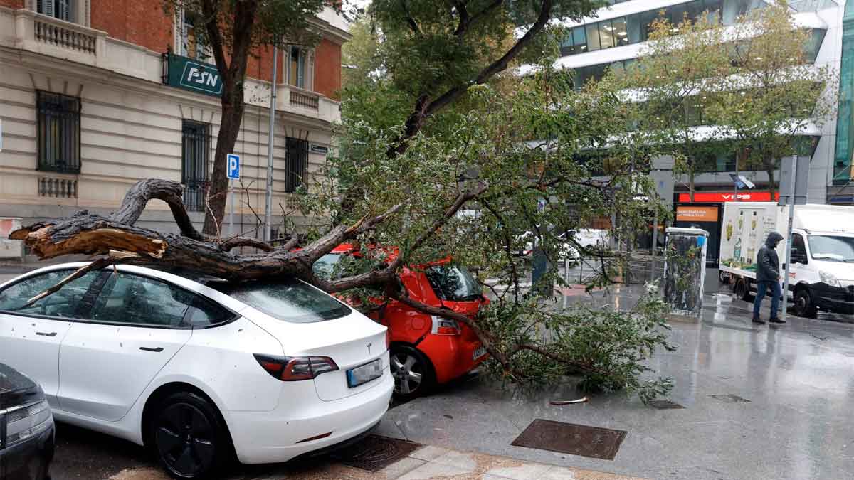 Vientos de 75 kilómetros por hora arrasan Madrid