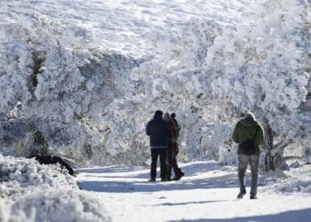 Nieve en la Sierra Norte. Senderistas entre árboles cubiertos de nieve en Madrid.