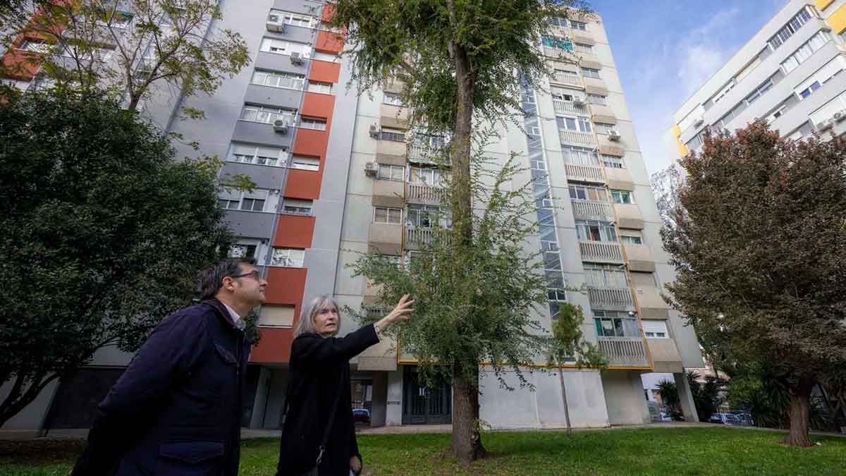 Plan Ecosolar madrileño: Se pagará un 30% menos en la factura de la luz.