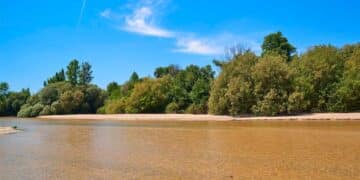 Playa en Aldea del Fresno.