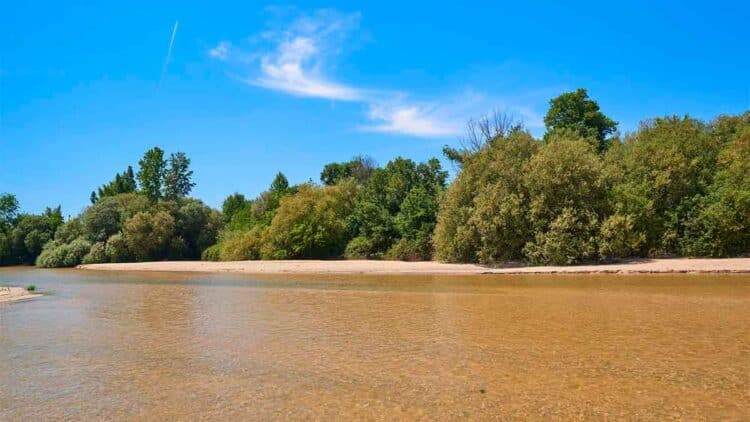 Playa en Aldea del Fresno.