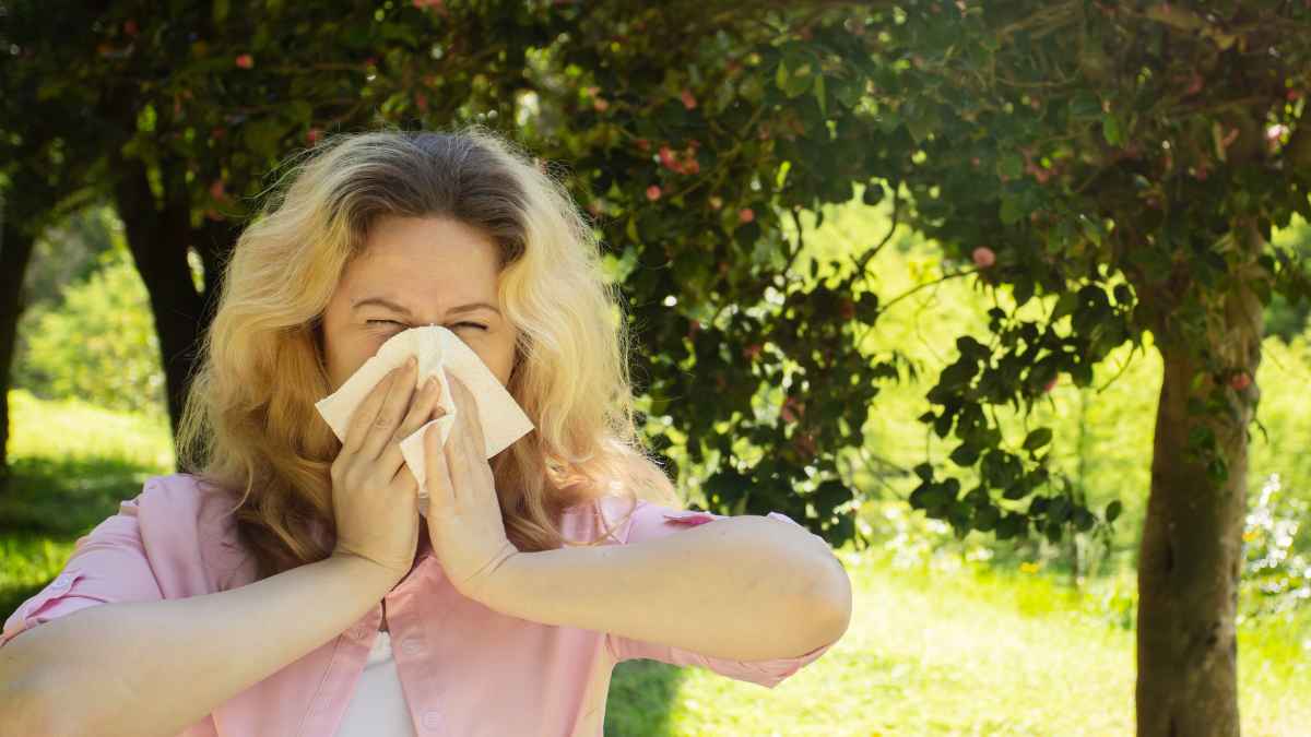 Madrid se llena de polen.