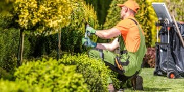 Madrid oferta este taller de auxiliar de jardinería remunerado.