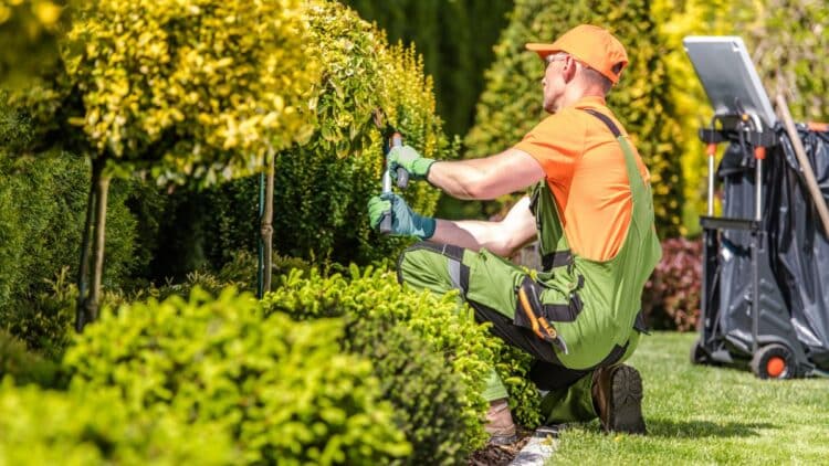 Madrid oferta este taller de auxiliar de jardinería remunerado.