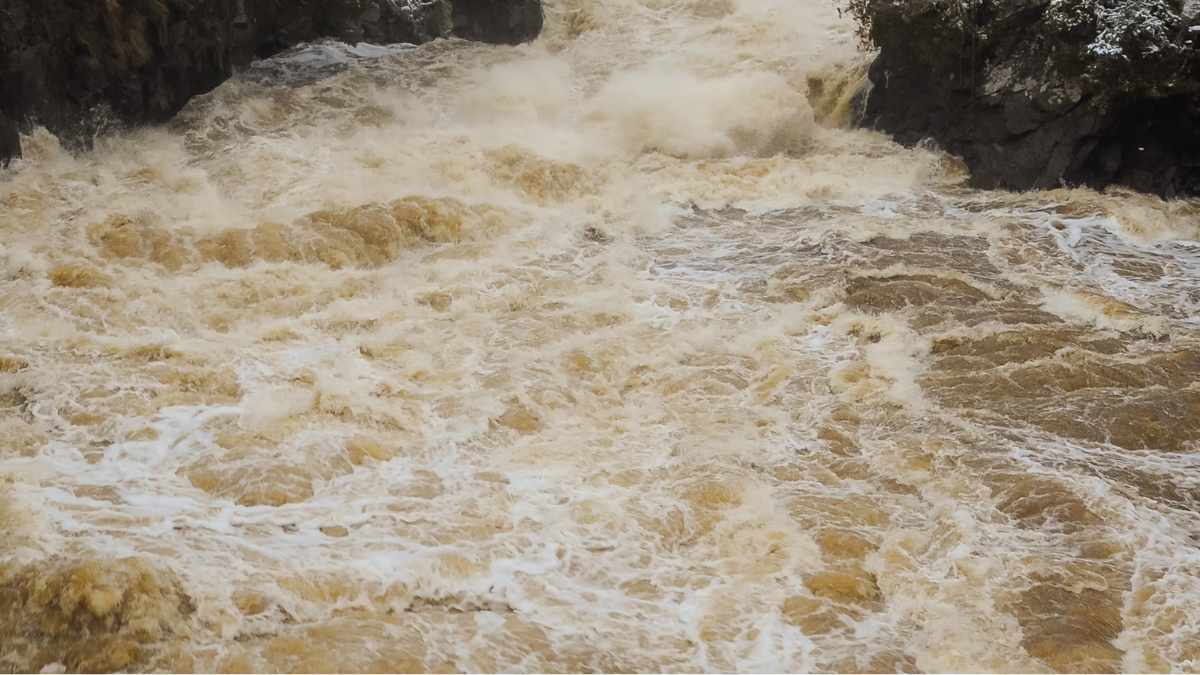 Crecida del río Manzanares en Madrid durante la borrasca Martinho