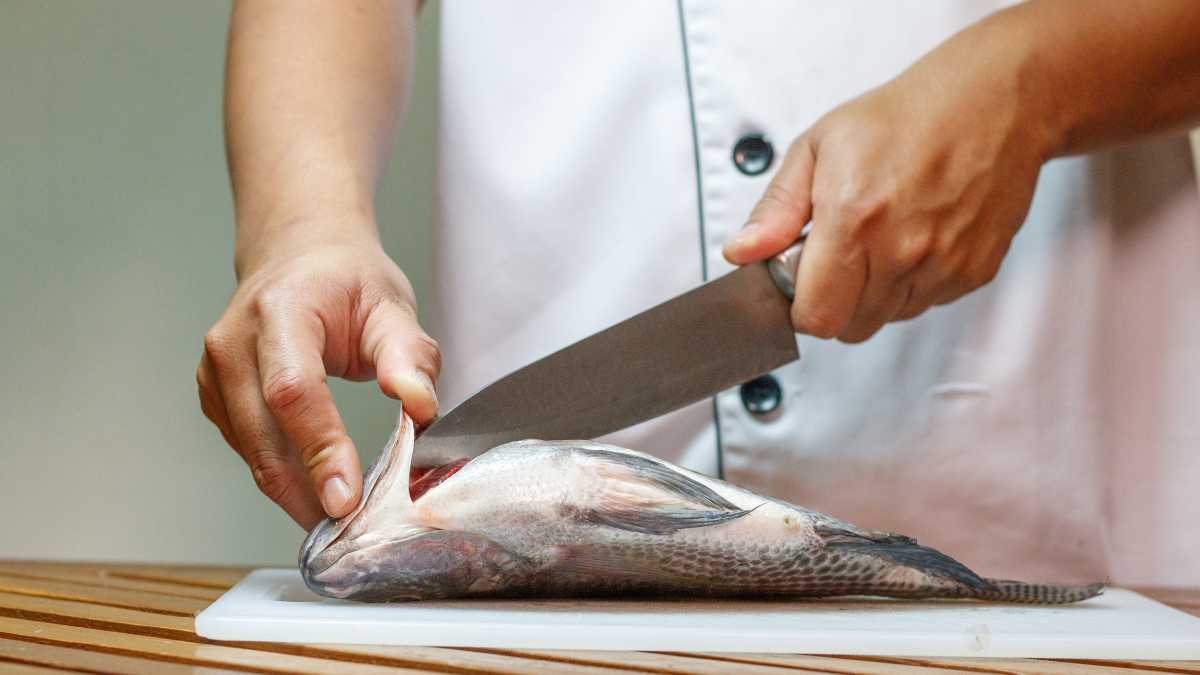 Este es el pescado azul mejor para la salud.