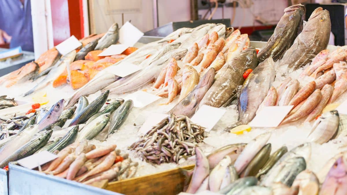Este el mejor pescado fresco de supermercado según la OCU.