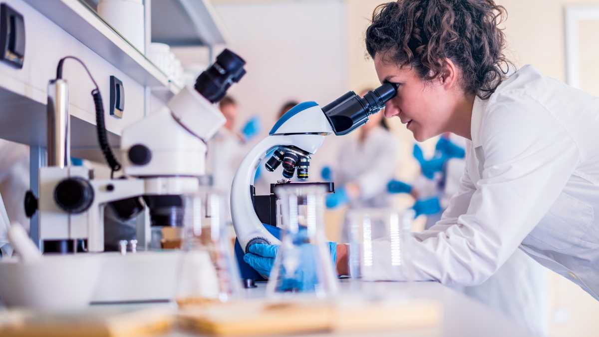 Las FP con más salidas profesionales.