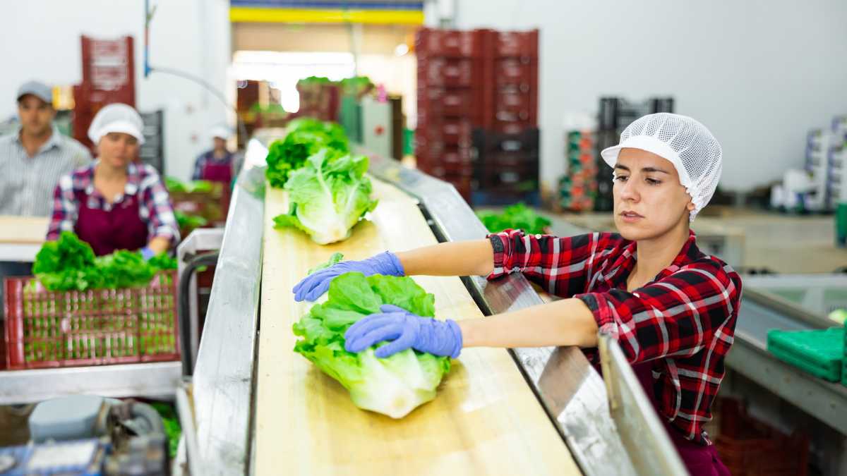 La Comunidad de Madrid prevé estas ayudas para las industrias agroalimentarias.