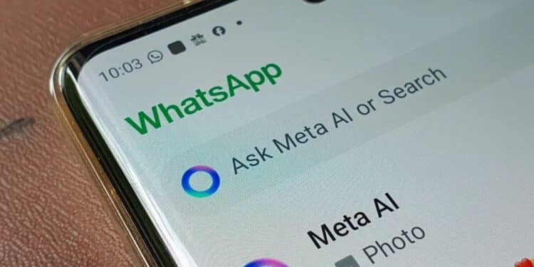 Esta es la nueva actualización de WhatsApp.