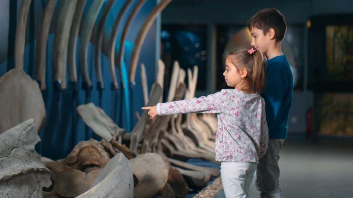 Por el Día del Niño y la Niña, los museos de Madrid han programado estas actividades.