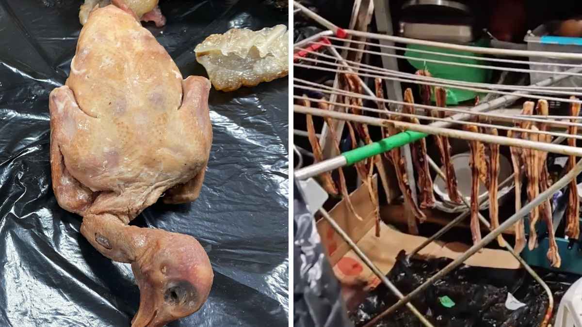 Venden palomas por pato laqueado en un restaurante chino.