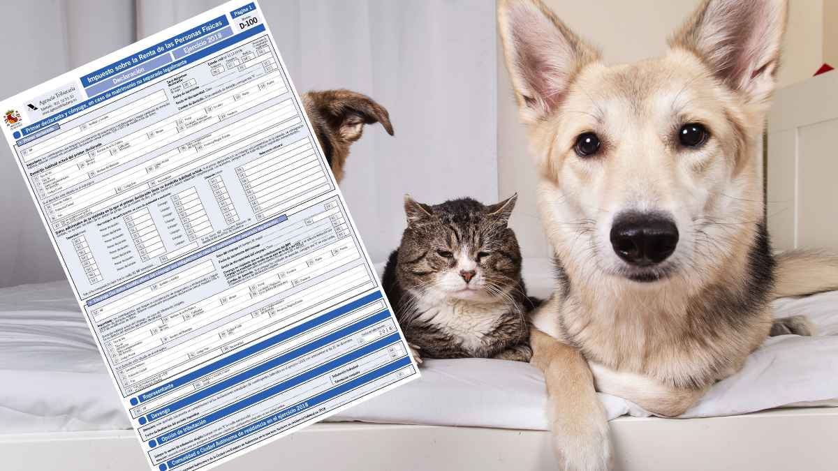 Gastos deducibles por tenencia de mascotas.