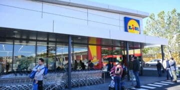 Oferta picadora de carne Lidl.