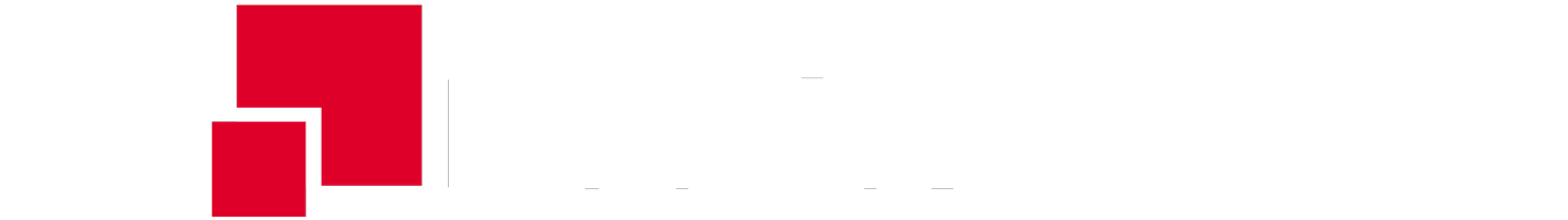 Logotipo corporativo Madridinforma blanco