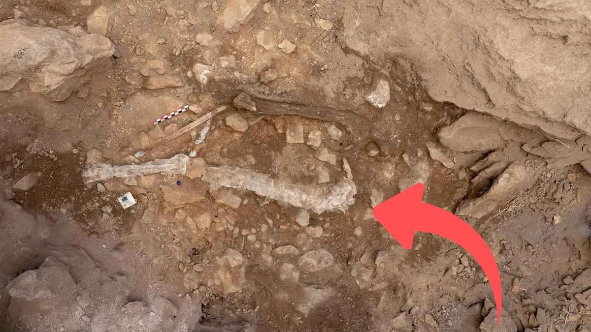 Herramientas Homo sapiens.