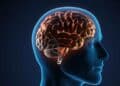 Cambios en el cerebro ante la mente en blanco.