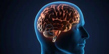 Cambios en el cerebro ante la mente en blanco.