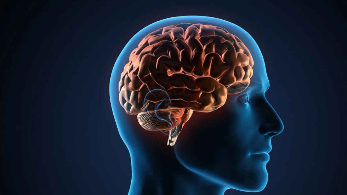 Cambios en el cerebro ante la mente en blanco.