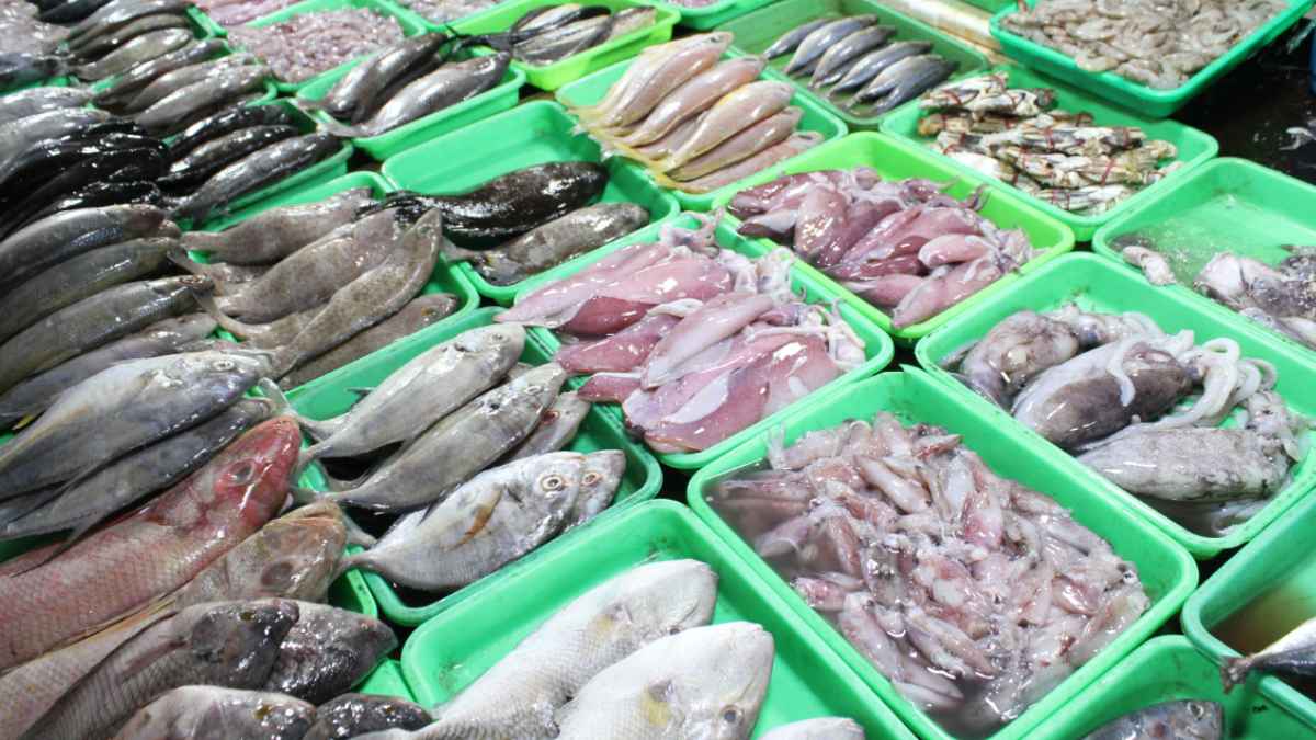 Supermercado con mejor pescado.