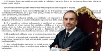 Sentencia del TSJ.