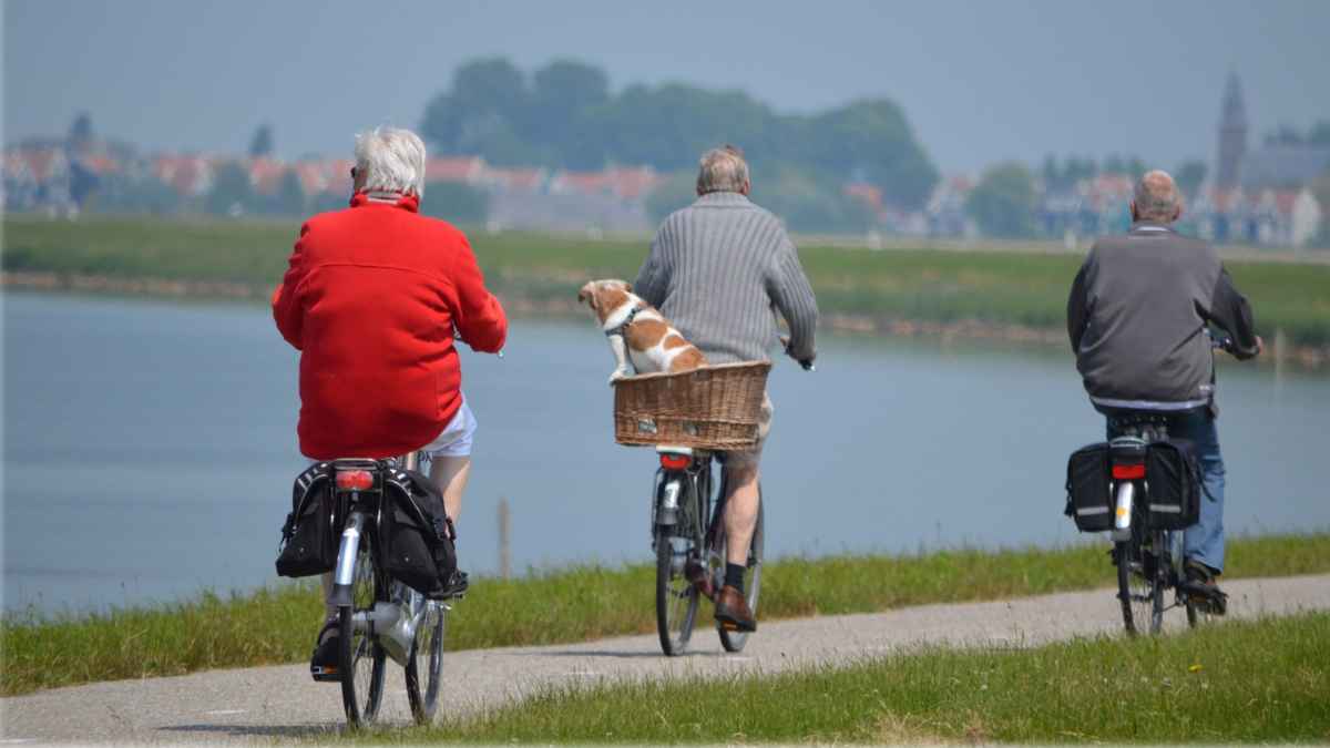 Novedades viajes IMSERSO 2025/2026.