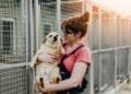 ¿Cómo adoptar un animal en Madrid?