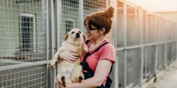 ¿Cómo adoptar un animal en Madrid?