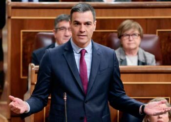 “Político interviene en el Congreso para presentar la ayuda de 2.400 € anuales por cada hijo menor de 18 años