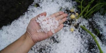 Mano sosteniendo granizo acumulado tras la tormenta que sorprendió a Madrid el 6 de mayo de 2025, según la previsión de la AEMET