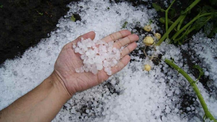 Mano sosteniendo granizo acumulado tras la tormenta que sorprendió a Madrid el 6 de mayo de 2025, según la previsión de la AEMET
