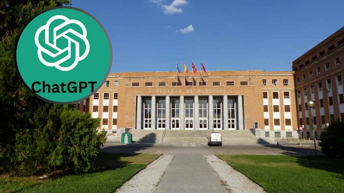 Notas de corte a la universidad.