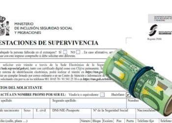 Formulario de prestaciones de supervivencia del INSS con un rollo de billetes, símbolo de la nueva pensión de orfandad para mayores de 52 años