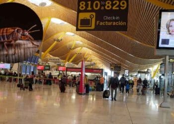 Plaga de chinches en el aeropuerto.