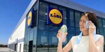 Verano en Lidl.