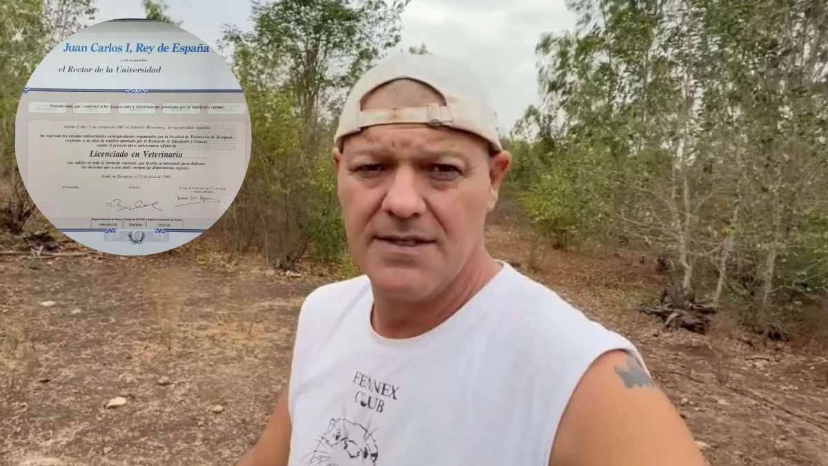 Mentiras de Frank Cuesta.