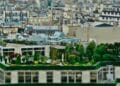 Azotea verde con jardín y árboles en un edificio de Madrid, impulsada por las subvenciones municipales para cubiertas vegetales