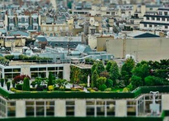 Azotea verde con jardín y árboles en un edificio de Madrid, impulsada por las subvenciones municipales para cubiertas vegetales