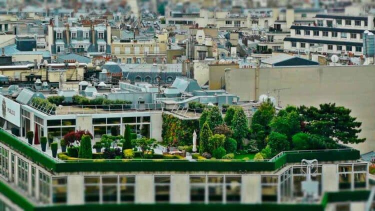 Azotea verde con jardín y árboles en un edificio de Madrid, impulsada por las subvenciones municipales para cubiertas vegetales