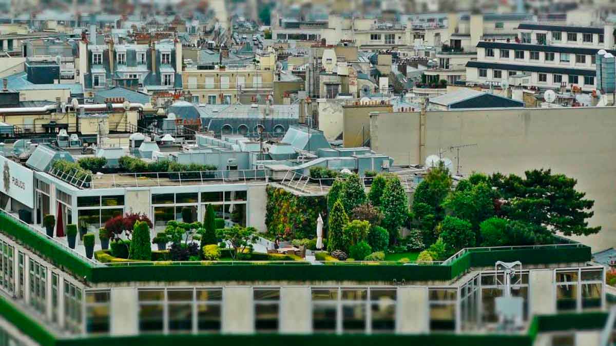 Azotea verde con jardín y árboles en un edificio de Madrid, impulsada por las subvenciones municipales para cubiertas vegetales