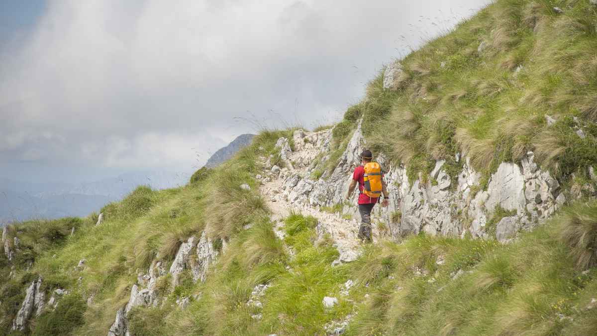 Haciendo senderismo.