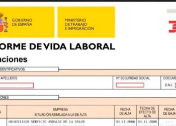 Informe de vida laboral de la Seguridad Social para descargar y rectificar cotizaciones antes de la jubilación