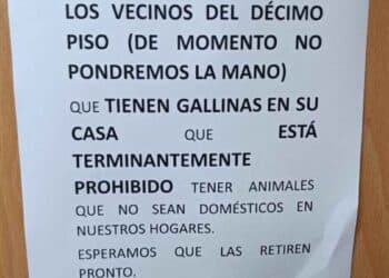 Prohibición de tener gallinas en una comunidad.