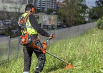 Convocatoria empleo Ayuntamiento Madrid: trabajadores sociales y jardineros.