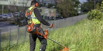 Convocatoria empleo Ayuntamiento Madrid: trabajadores sociales y jardineros.
