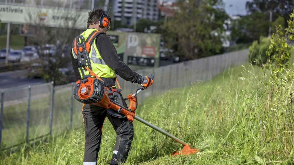 Convocatoria empleo Ayuntamiento Madrid: trabajadores sociales y jardineros.